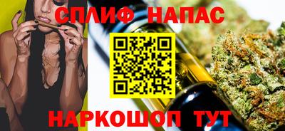 гидра Можга