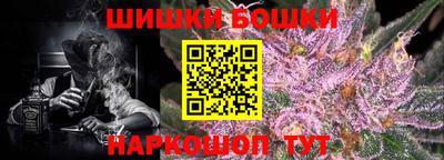гидра Можга