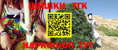 гидра Можга